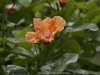 _DSC6543_DxO