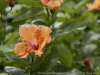 _DSC6545_DxO