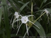 _DSC6546_DxO