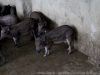 _DSC6764_DxO_1