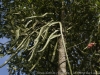 _DSC6777_DxO