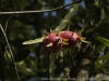_DSC6790_DxO