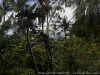 _DSC6919_DxO