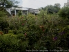 _DSC6924_DxO_1