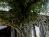 _DSC6929_DxO_1