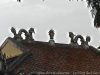 _DSC6938_DxO_1