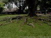 27-16-_DSC6994_DxO_1