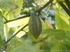 _DSC7080_DxO