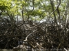 _DSC7124_DxO