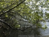 _DSC7125_DxO