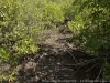 _DSC7130_DxO