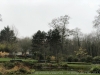 IMG_6590_DxO