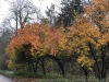 IMG_6597_DxO