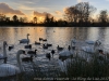 IMG_6859_DxO