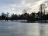 2018210_2_image