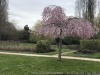 20180402_image_01