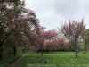 20180415_image_02