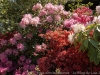 _DSC7316_DxO