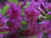 _DSC7323_DxO