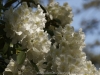 _DSC7324_DxO