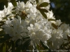 _DSC7327_DxO