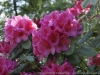 _DSC7341_DxO
