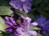_DSC7345_DxO