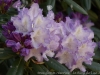 _DSC7353_DxO