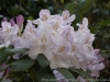 _DSC7360_DxO