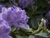 _DSC7374_DxO