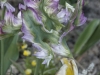 _DSC7365_DxO