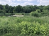 20180520_photo_8264