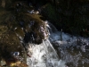 2018818_image_04