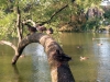 2018818_image_14