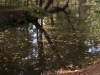 20181001_image_01