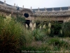 img_9341_dxo1