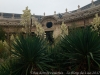 img_9346_dxo