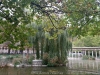 img_9785_dxo_dxo