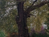 img_9789_dxo_dxo