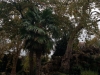img_9801_dxo