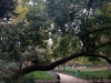 img_9804_dxo