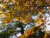 img_9880_dxo