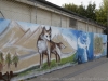 _dsc7757_dxo
