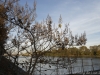 _dsc7825_dxo