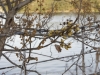 _dsc7831_dxo
