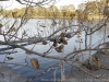 _dsc7836_dxo