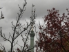 50__dsc7915_dxo-1