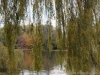 _dsc7976_dxo-0