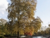 _dsc8005_dxo-1