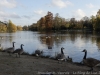 _dsc8019_dxo-6